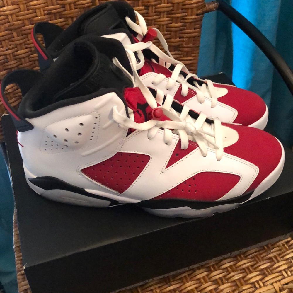 Air Jordan 6 Carmine 10.5
